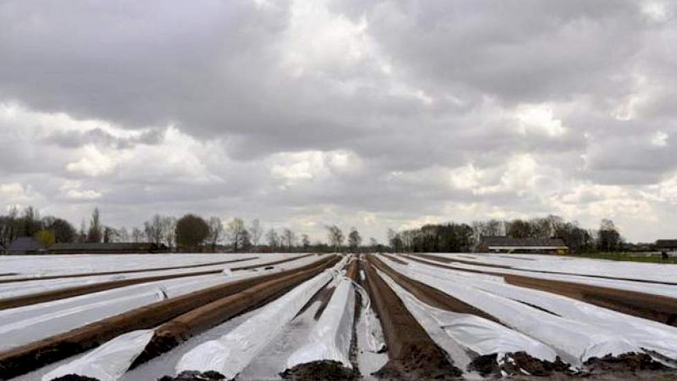 Tijdens de lentestorm van dinsdag waaide ook bij Van Meijl veel folie van de aspergebedden.