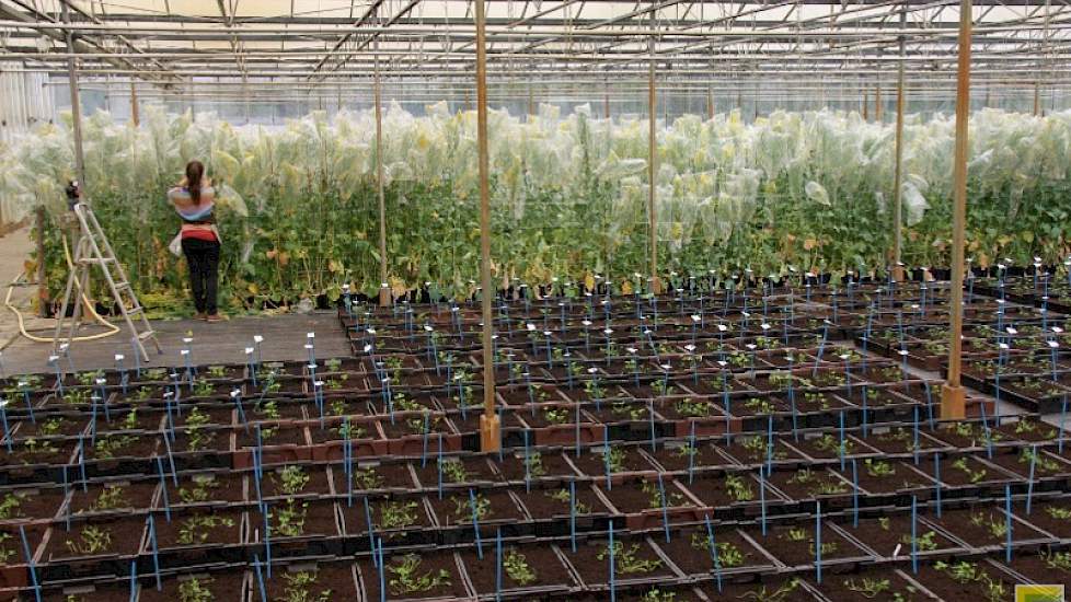 Herstel je bodem op tijd: na uitmergeling kost het vruchtbaar maken van 10 centimeter grond  2000 jaar. Gaan we door op deze voet, dan hebben we in 2050 de helft over van wat we nu aan nog vruchtbare grond hebben. De akkerbouw moet gericht zijn op meer or