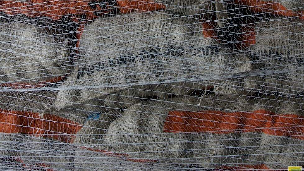 Export van pootgoed van oogst 2014 zal op een gemiddeld niveau uitkomen vergeleken met de afgelopen 5 jaren.