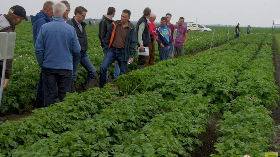 De uitbreiding van het assortiment biologische phytophthoraresistente aardappelrassen gaat door. Volgens prof. Edith Lammerts van Bueren zijn er weer twee nieuwe rassen onderweg.