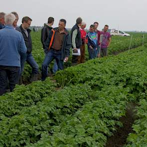 De uitbreiding van het assortiment biologische phytophthoraresistente aardappelrassen gaat door. Volgens prof. Edith Lammerts van Bueren zijn er weer twee nieuwe rassen onderweg.