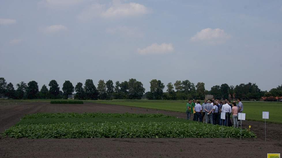 De vergroening verplicht tot het gebruik van groenbemestermengsels. Agrifirm probeerde meerdere mengsels. Ook stelde de coöperatie een goedkoop zaadmengsel voor akkerranden samen.