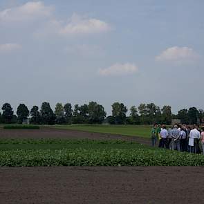 De vergroening verplicht tot het gebruik van groenbemestermengsels. Agrifirm probeerde meerdere mengsels. Ook stelde de coöperatie een goedkoop zaadmengsel voor akkerranden samen.