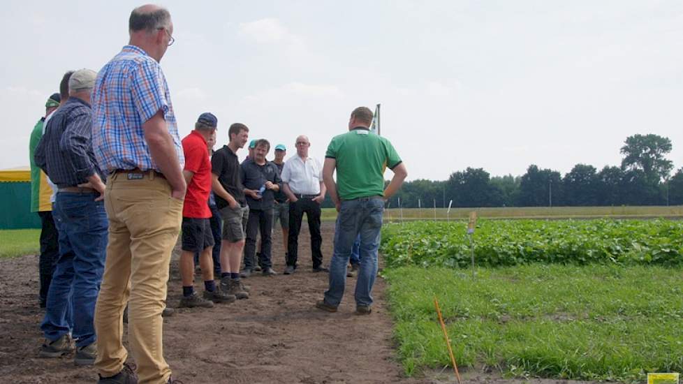 Een groenbemestermengsel moet minimaal 10 weken staan en mag dan niet gemaaid worden.