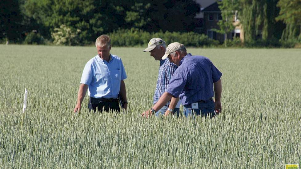 Hans Buikema van Syngenta toont telers het effect van Seguris als T1-bespuiting tegen schimmelziektes, liefst in combinatie met andere middelen voor de andere gevaarlijke momenten in de graanontwikkeling.