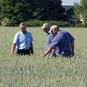 Hans Buikema van Syngenta toont telers het effect van Seguris als T1-bespuiting tegen schimmelziektes, liefst in combinatie met andere middelen voor de andere gevaarlijke momenten in de graanontwikkeling.