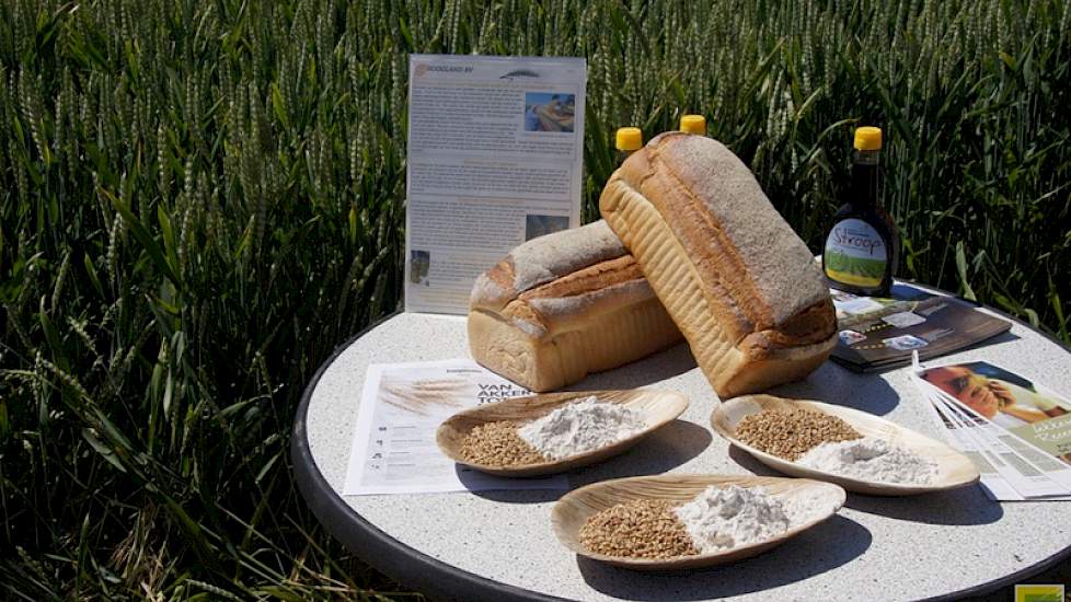 Het meel uit de regio levert de telers en bakkers in de buurt een brood van eigen akker en een plus op de graanprijs.