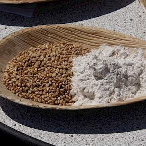Nederlands graan is geschikt om brood mee te bakken, mits de teler het juiste tarweras en teeltwijze gebruikt.