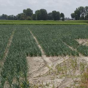 Boeren kunnen veel problemen met spuitfouten voorkomen door de geren in een perceel ergens anders te leggen. In het geval ze aan de rand van het perceel liggen is bijna niet te voorkomen dat bij het wenden van de veldspuit middel op het talud of dicht bij