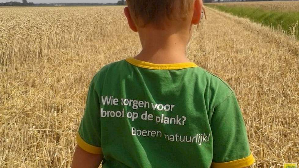 Onder toeziend oog van zoon David is Kuno van der Marel in Swifterbant aan het dorsen.