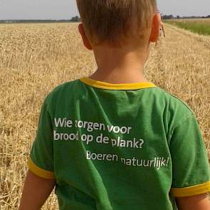 Onder toeziend oog van zoon David is Kuno van der Marel in Swifterbant aan het dorsen.