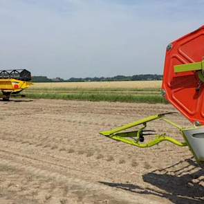 En ook bij Novifarm in de Hoeksche Waard zijn de combines weer los.