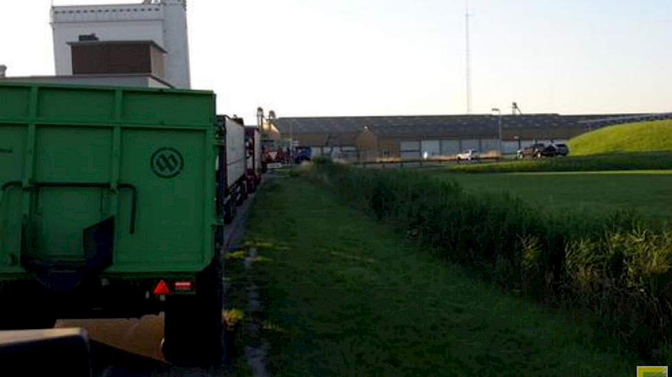 Een hele drukte op de maandagmorgen bij het graandepot van CZAV in Wemeldinge, constateert Klaasjan Boer.