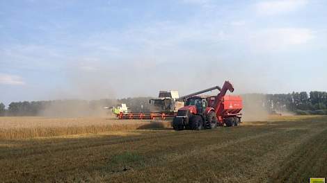 De wintertarwe wordt gedorsen met een Claas combine in combinatie met een Case IH trekker. Agrokultura bewerkt in totaal 125.000 ha in Zuidwest-Rusland, waarvan 35.000 ha wintertarwe. De  opbrengst van tarwe ligt tussen 3 en 4 ton per ha, wat gemiddeld is