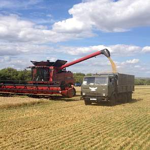 Bij Agrokultura wordt op de meeste bedrijven rijdend gelost in Annaburger overlaadwagens. Recent heeft het bedrijf 40.000 ha overgenomen in de provincie Voronezh, waar nog veel oude combines worden gebruikt (Don 1500B, de combine achter de Case IH Axial F