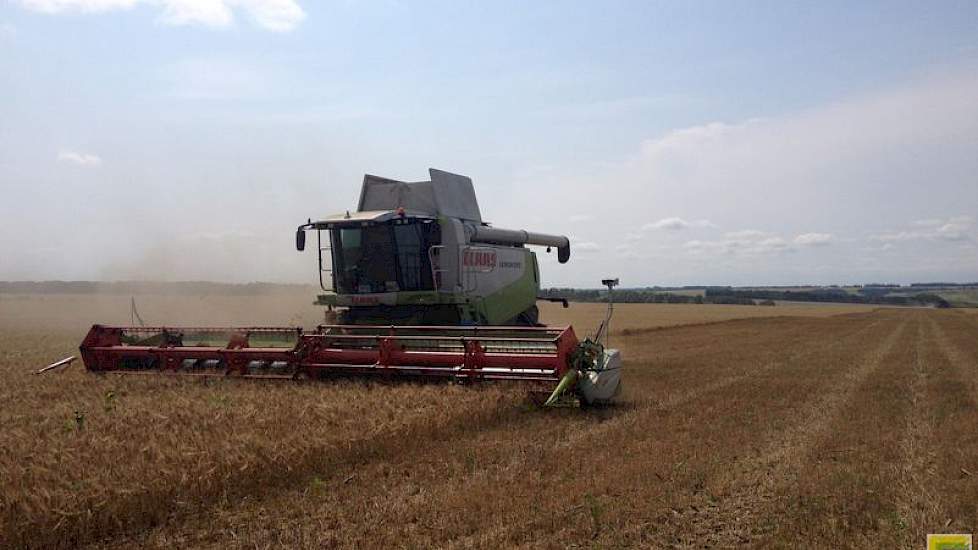 Daarnaast teelt het bedrijf 12.000 ha zomergerst. De gerst wordt gedorsen met een Claas combine.
