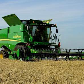 Jos Rademakers dorst met zijn combine bij Andy Wiertsema wintertarwe van het ras Tataros. Het dorsen gaat volgens de akkerbouwer goed, ondanks dat de tarwe vrij plat ligt. Het gemiddelde vochtgehalte staat op 14,5 procent.