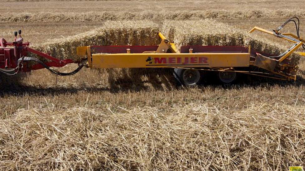 lavendel Bloeien Verwisselbaar Fotoserie: Foto's: Stro persen en laden met 15 pakken tegelijk | Akkerwijzer.nl - Nieuws en kennis voor de akkerbouwers lavendel Bloeien Verwisselbaar Fotoserie: Foto's: Stro persen en laden met 15 pakken tegelijk | Akkerwijzer.nl - Nieuws en kennis voor de akkerbouwers