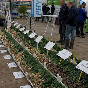 Binnen in de tent 'Uienplaza' van Uiendag 2015 konden de bezoekers de rassen van de nieuwe Uienrassenlijst 2016 bekijken, ook als het weer buiten tegenviel.