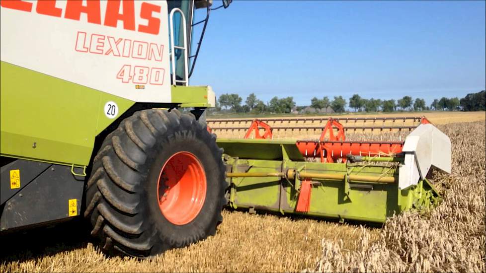 Tarwe oogst met Lexion 480