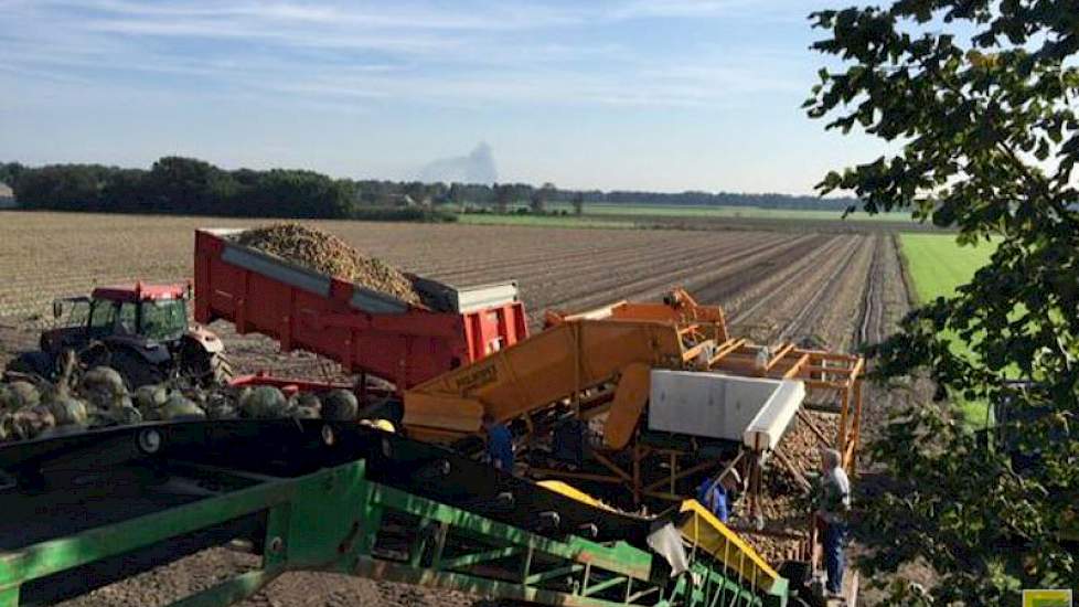 In het zuiden van Brabant worden uien geladen voor handelaar Franje Onions uit het Zeeuwse Waarde.