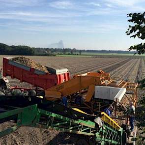 In het zuiden van Brabant worden uien geladen voor handelaar Franje Onions uit het Zeeuwse Waarde.