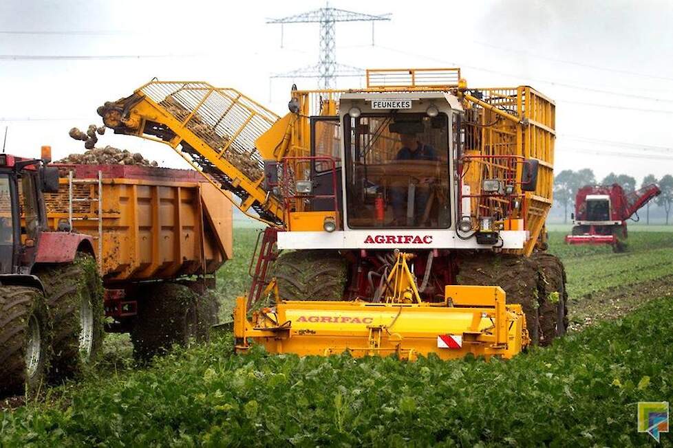 Feunekes rooit met drie machines. Twee daarvan reden maandag op dit perceel van akkerbouwer Gert Huisman.