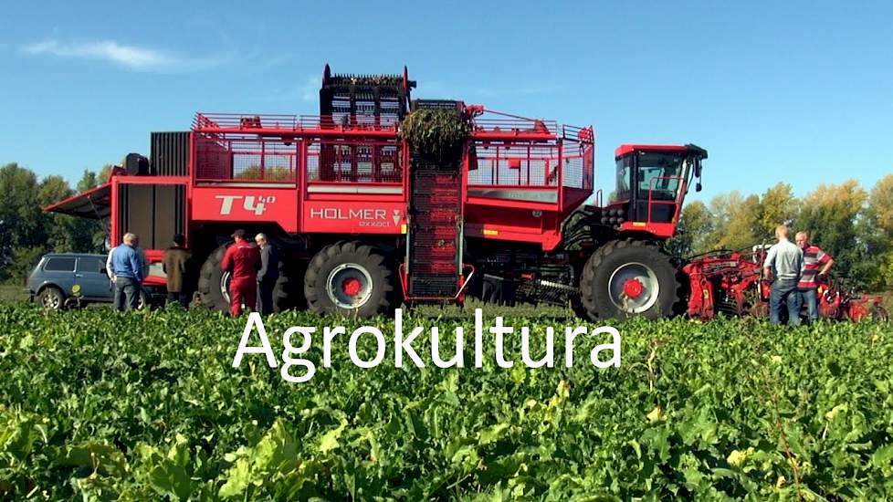 Bietenrooien Agrokultura Voronezh Россия Opbrengst 55 ton/ha. film Jan Rijpma. Sugarbeet harvesting