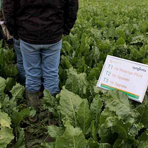 Tussen twee en drie maal bespoten suikerbieten staat de vertegenwoordiger van Syngenta met zijn toehoorders. Links (twee keer bespoten; één keer Retengo en één keer Spyrale) zien de bieten er minder gaaf uit.
