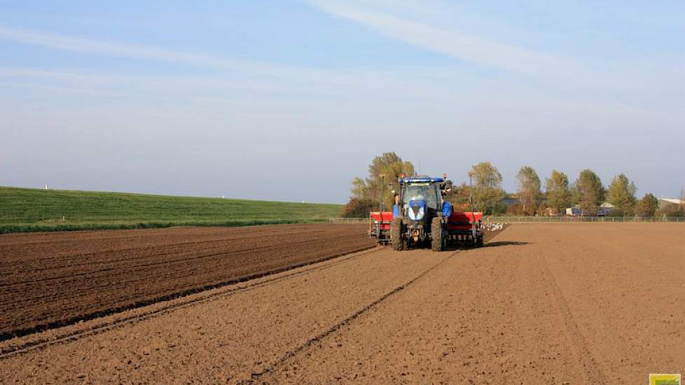 Het is het derde jaar dat De Jager winterplantuien teelt. Het is voor hem een spreiding in het bedrijfsrisico. ‘En ik hoop er wat extra mee te verdienen.’