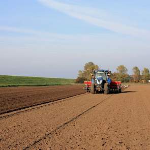 Het is het derde jaar dat De Jager winterplantuien teelt. Het is voor hem een spreiding in het bedrijfsrisico. ‘En ik hoop er wat extra mee te verdienen.’