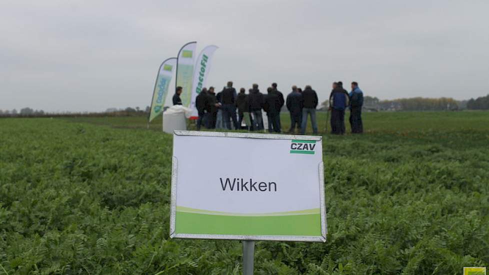 In een rondleiding van anderhalf uur deelden de organisatoren en de telers ervaringen met groenbemesters, de bemesting daarvan en de techniek van grondbewerking en tarwezaai.