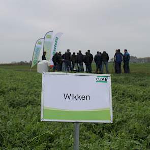 In een rondleiding van anderhalf uur deelden de organisatoren en de telers ervaringen met groenbemesters, de bemesting daarvan en de techniek van grondbewerking en tarwezaai.