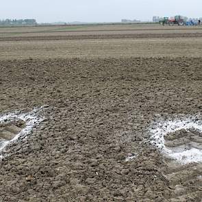 Verdichting is slecht voor de ontwikkeling van het gewas. Lagere bandenspanning geeft minder bodemverdichting. DLV Plant laat dat zien door meel rond de bandafdruk te strooien bij verschillende spanningen. Dit was een demo in het kader van het project 'Mi