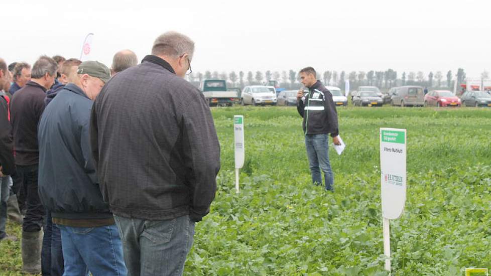 Dwars op de 21 groenbemesters ligt een behandeling met verschillende mestsoorten. Daarbij zijn naast kunstmeststikstof runderdrijfmest, varkensdrijfmest, dunne fractie en mineralenconcentraat.
