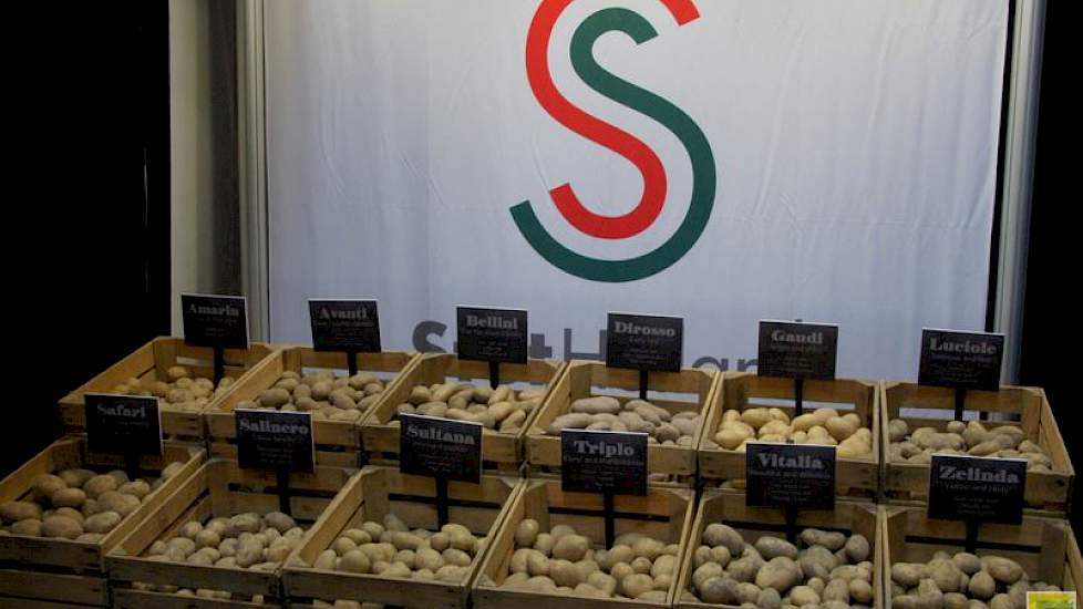 Stet Holland zet de supermarktrassen extra in de etalage. Volgens Jacques Vergroesen van dit handelshuis blijken rassen waarmee Stet Holland op traditionele markten mikte heel geschikt voor de supermarkt. Sommigen gaan als poter naar Israël, Griekenland o