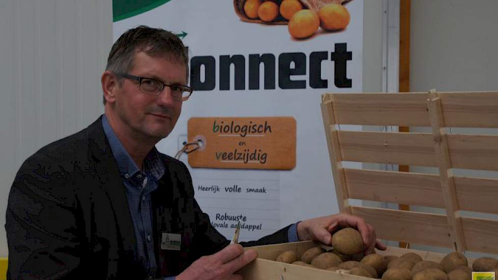 Connect was ontwikkeld voor de gangbare markt en wordt nu ontdekt door de biologische telers. „Connect en Masai zijn beide geschikt voor de professionele teler en de volkstuin, local for local. De schimmelresistentie van Connect is heel welkom in tropisch