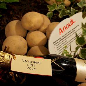 Anouk is een fijn uitvallend consumptieras. Belangstelling voor de rondovale knollen met geel vruchtvlees komt uit Denemarken. Agrico gaat met pootgoed uit Canada de Amerikaanse markt bewerken. Agrico ziet naast de grote en middelgrote marktsegmenten goed