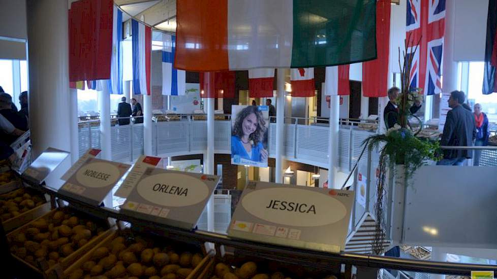 Het handelshuis HZPC presenteert zijn rassen sinds lange tijd in zijn eigen kantoorgebouw in Joure. De rassen worden gepresenteerd in het trappenhuis: op iedere verdieping een marktsegment. Ook HZPC ontvangt deze dagen bezoekers vanuit de hele wereld.