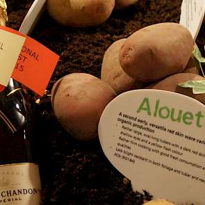 De phytophthoraresistente Alouette is een nieuwkomer op de lijst. De aardappel bleek deze zomer bijzonder goed te presteren in Noord-Afrika. In Marokko, ook themaland op de Agrico-show 2015, presenteerde Van Hoogen dit ras al aan de Noord-Afrikaanse klant