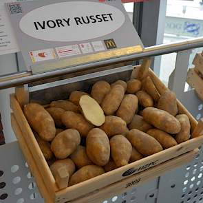 HZPC introduceerde enkele jaren geleden de Ivory Russet, waarmee het handelshuis de strijd wilde aangaan met de Amerikaanse Russet-rassen. De aardappel is bestemd voor de french fries van McDonalds. De witvlezige aardappel staat qua ras dicht bij de Innov
