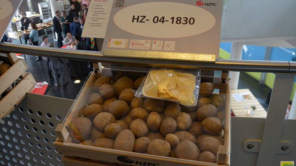Ook presenteert HZPC enkele rassen onder nummer. Eén daarvan is de HZ 04 1830, een relatief vroeg chipsras. Opvallend aan dit ras is dat het beschikt over de volle resistentie tegen nematoden en wratziekte, waardoor het in heel Nederland geteeld kan worde