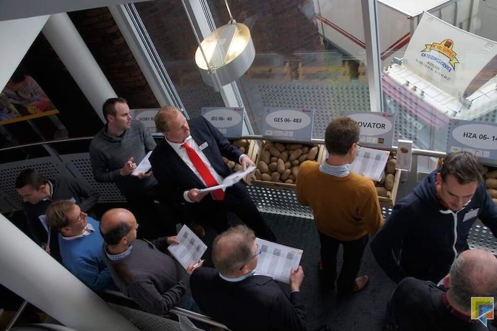 HZPC heeft met Ivory Russet een sterk ras voor frites. Hij is door de witte vleeskleur geschikt voor fastfood en de Noord-Amerikaanse markt. Innovator is daar te geel.