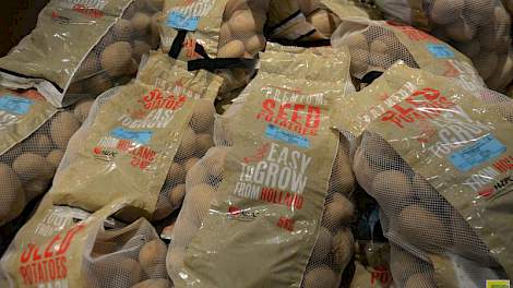 In het buitenland werkt HZPC met zakken pootaardappelen van 2,5 of 5 kilo voor de supermarkt, voor Nederland denkt het handelshuis aan netjes van 0,5 of 1 kilo.