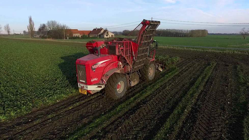 Loonbedrijf Focquaert  rooien van suikerbieten met Vervaet 617 en Vervaet Hydro Quad