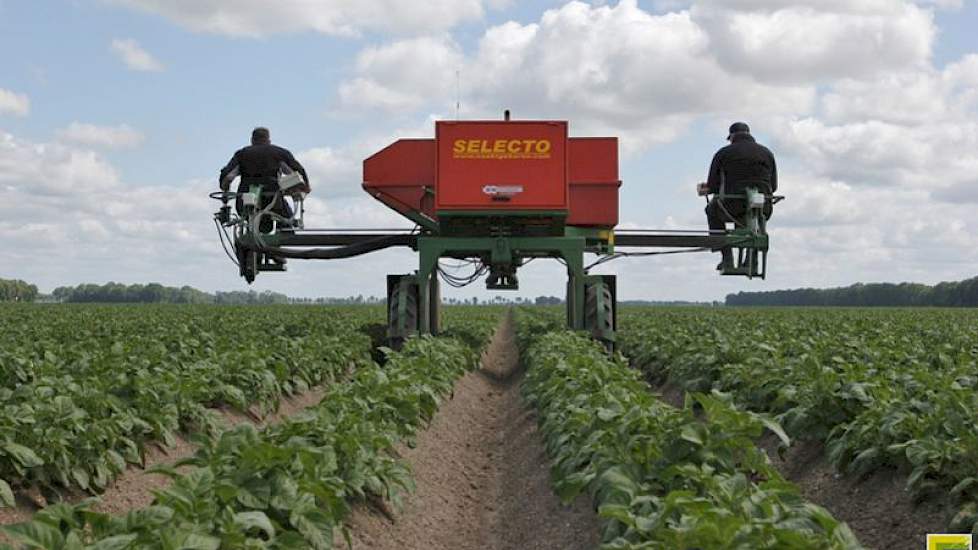 Goed selecteren, gebruiken van minerale olie en niet vlak op de norm sorteren verlagen het risico op problemen bij de export van partijen pootgoed, stelt Jaap Haak van de keuringsdienst NAK.