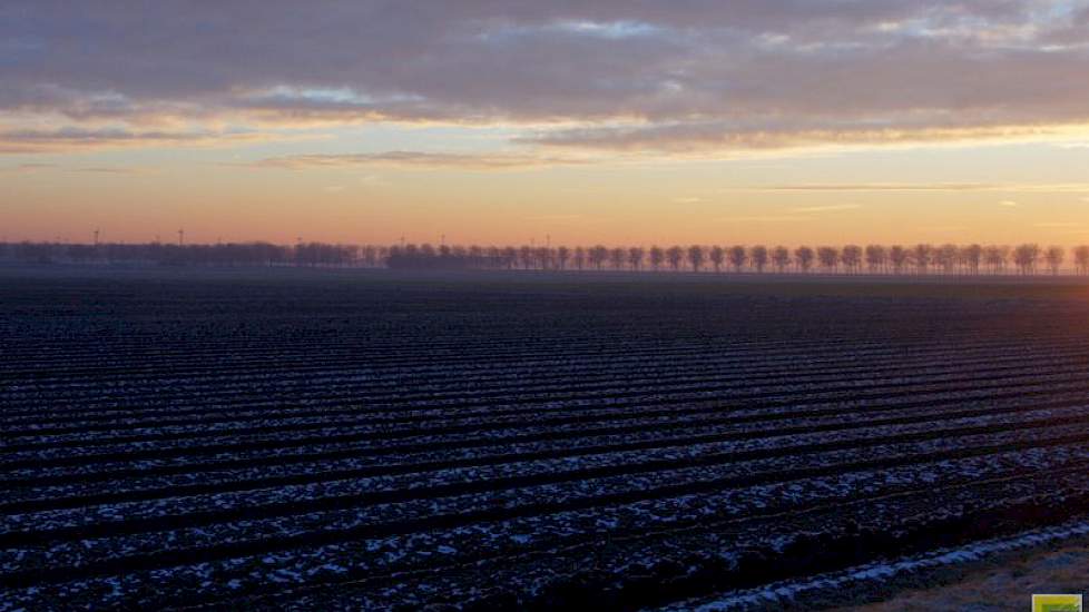 Onvoldoende koud weer maakt dat het graan in de Europese Unie nauwelijks afgehard is.