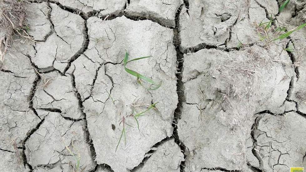 Steeds vaker komen droge periodes en verzilting voor in landbouwgebieden. Onder deze omstandigheden blijken niet alle resistentie van de gewassen overeind.