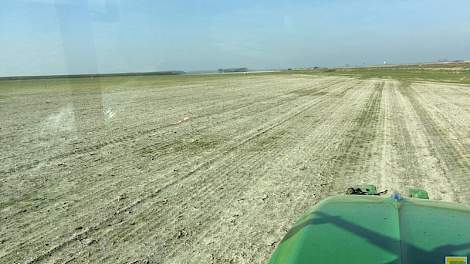 Bij Maarten Janse is de schade dit voorjaar erger dan in andere jaren.