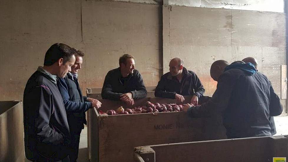 Vertegenwoordigers vanuit zaadsector, uienhandel en –teelt beoordelen de uien in de bewaarproef. Foto: Eric Moerdijk